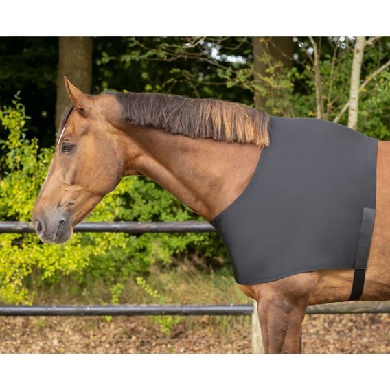 Vesta pro koně QHP elastická
