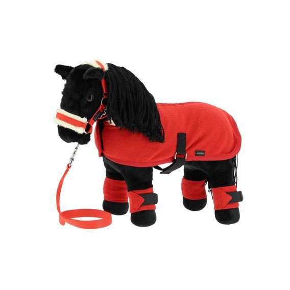 Ohlávka s vodítkem Pony Academy