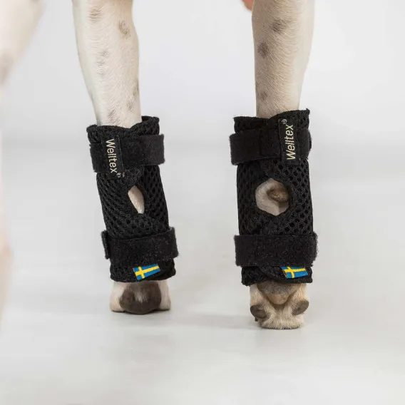 Kamaše Back on Track Milo pro psa 3106 pár