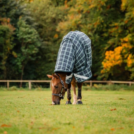 Krční díl k dece Horseware Rhino 0g