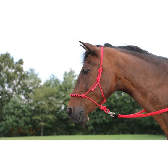 *W* Provazové otěže F.R.A. Gabi 3m x 2,5 cm