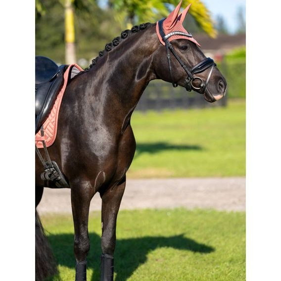 Čabraka na uši Equestrian Stockholm Modern Coral Kolekce 2025