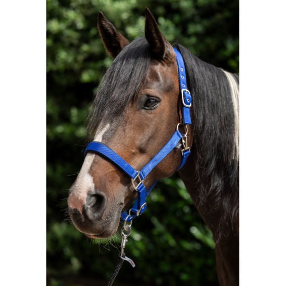 Ohlávka HKM Breakaway 2 DOPRODEJ