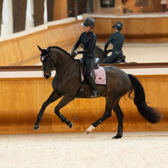 Podsedlová dečka Equestrian Stockholm Pink Glimmer Kolekce 2026/27