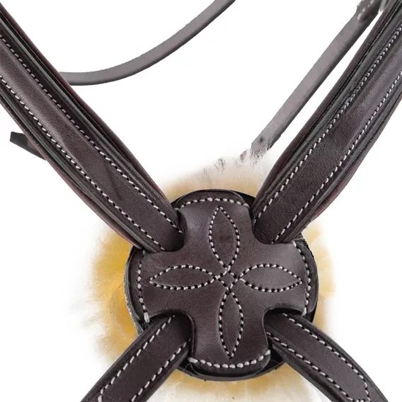 Uzdečka CWD Sport Color Anatomic s mexickým nánosníkem