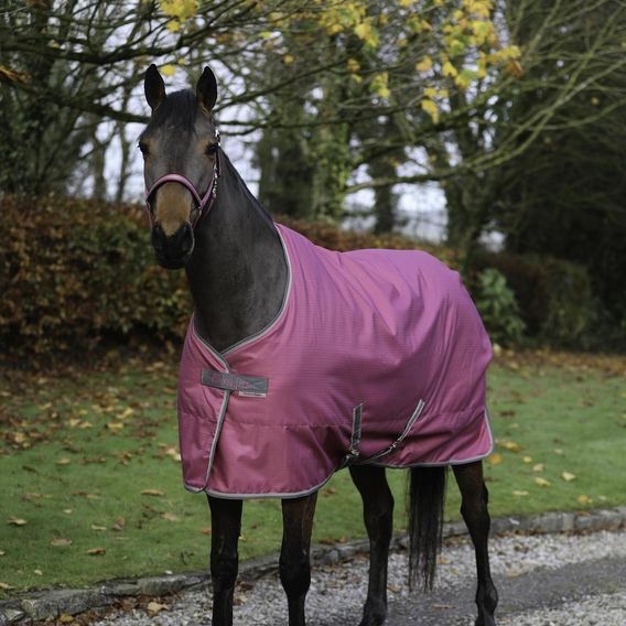 Deka stájová termo Bucas Freedom 300g Kolekce 2025/26