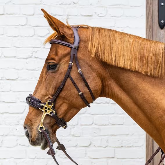 Uzdečka Dy'on Hackamore Bridle DYFADX