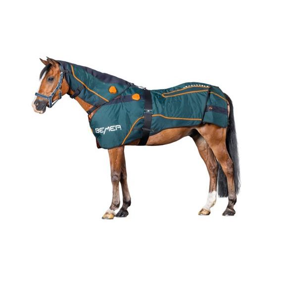 BEMER Horse-Set Perfect Duo