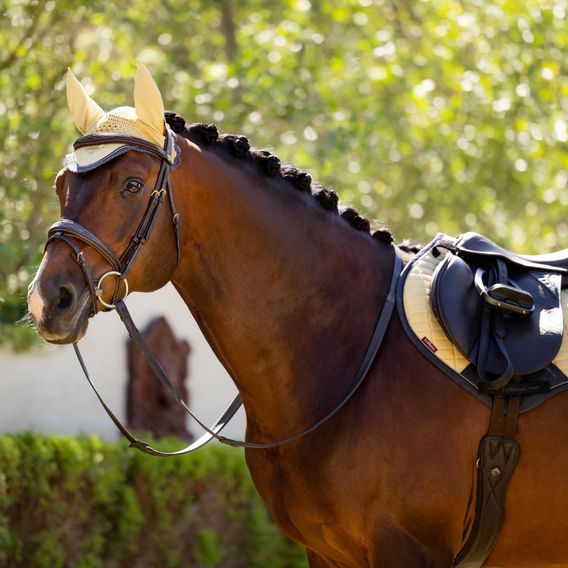 Podsedlová dečka LeMieux Suede Square Mimosa Kolekce 2025