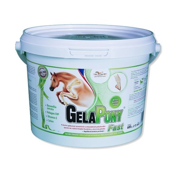 Gelapony Fast DOPRODEJ