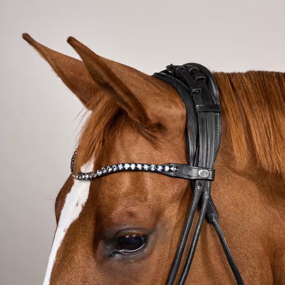 Uzdečka Dy'on Round with Large Noseband Soft Leather SO-10003