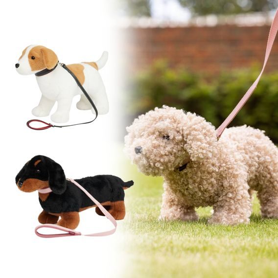 Obojek s vodítkem LeMieux Toy Puppy DOPRODEJ