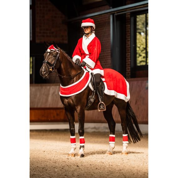 Čabraka na hlavu Horze Christmas Hat Kolekce