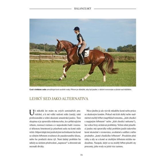 Publ Heuschmann Balanceakt