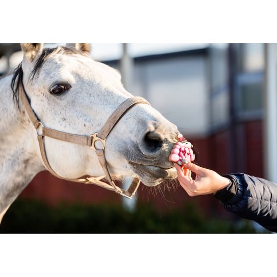 Pamlsky Candy Horse Cookies Valentine's day 30-40g