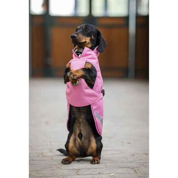 Deka na psa Bucas Freedom Kolekce 2026