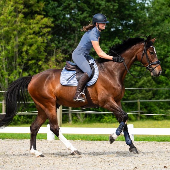 Tričko QHP Aubree dámské Kolekce 2026