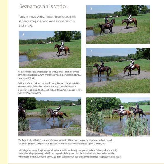 Publ Payne Jak napravit svého koně