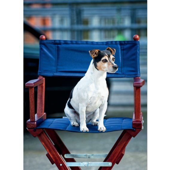 Křeslo trenérské Equest DOPRODEJ