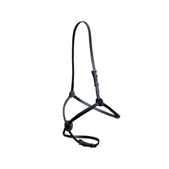 Nánosník mexický Euroriding El Paso