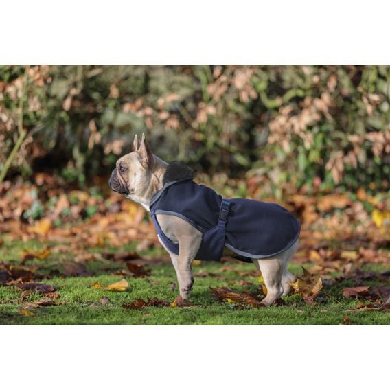 Deka na psa Bucas Show-Line