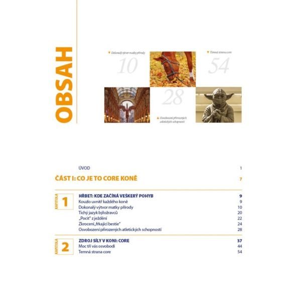 Publ Cocozza Core trénink pro koně