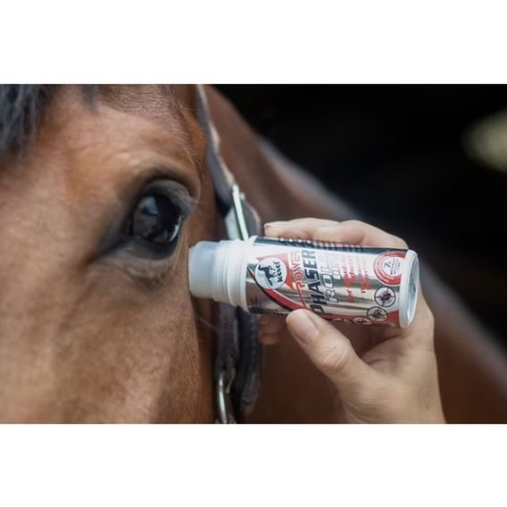 Leovet Power Phaser Roll On 75 ml