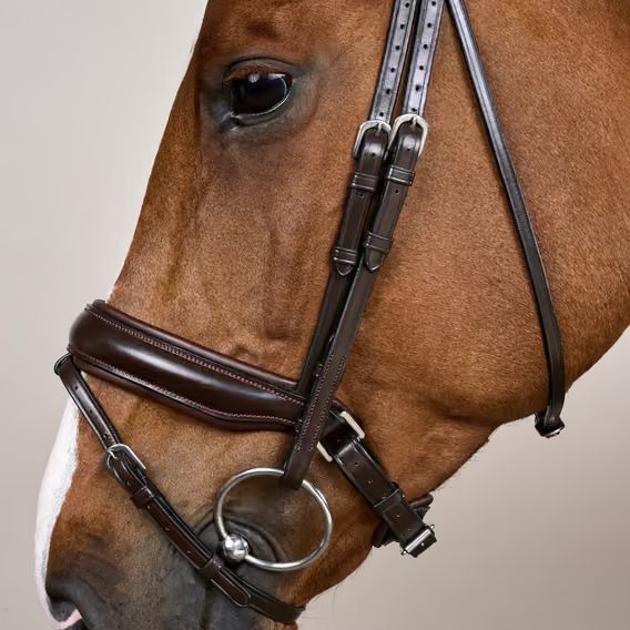 Uzdečka Dy'on Matte Large Crank Noseband Bridle With Flash WODCAM