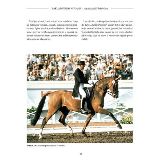 Publ Heuschmann Balanceakt