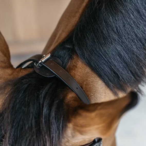 Uzdečka Dy'on Training Bridle WOXXII