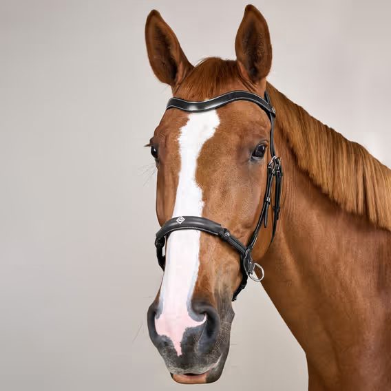 Uzdečka Dy'on Bitless WO