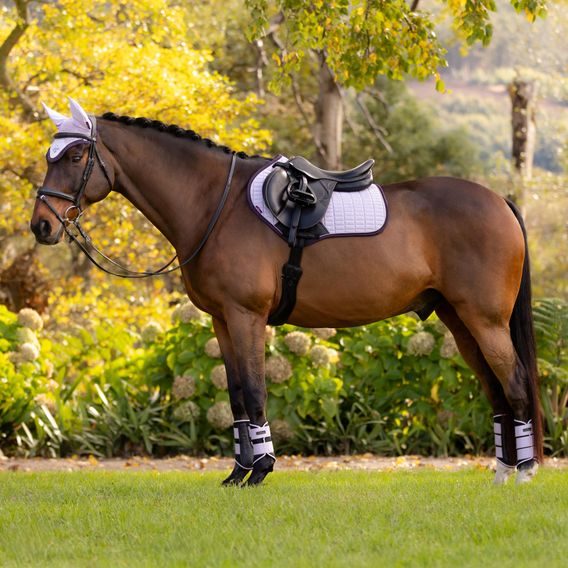 Podsedlová dečka LeMieux Suede Square Lilac Kolekce 2025/26