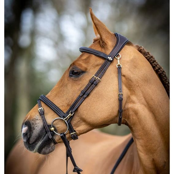 Uzdečka LeMieux Work a.k.n.