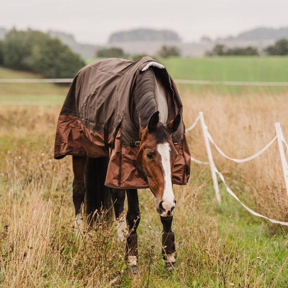 Deka výběhová Imperial PROFI *EQS* High Neck Fleece