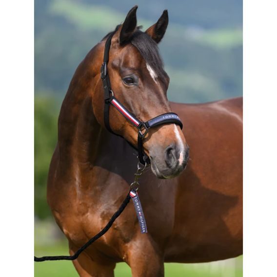 Ohlávka s vodítkem Tommy Hilfiger Equestrian Yale Kolekce 2026