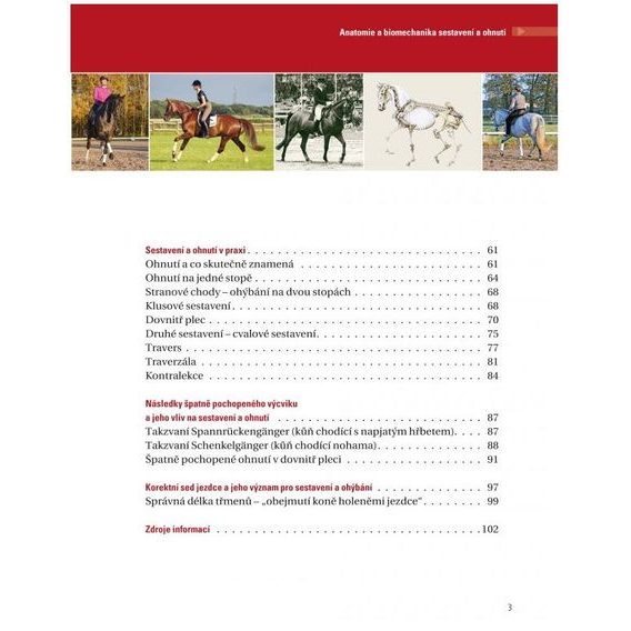 Publikace Heuschmann Anatomie a biomechanika sestavení a ohnutí