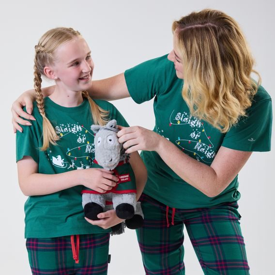 Hračka Horseware Crafty Ponies