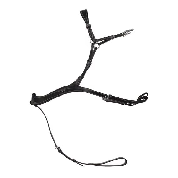 Poprsník Dy'on Anatomical US06B