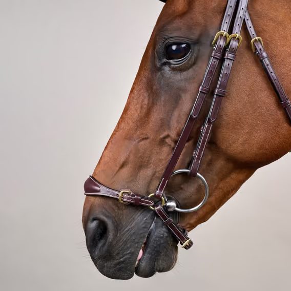 Uzdečka Dy'on Adjustable Drop Noseband DYAAAE