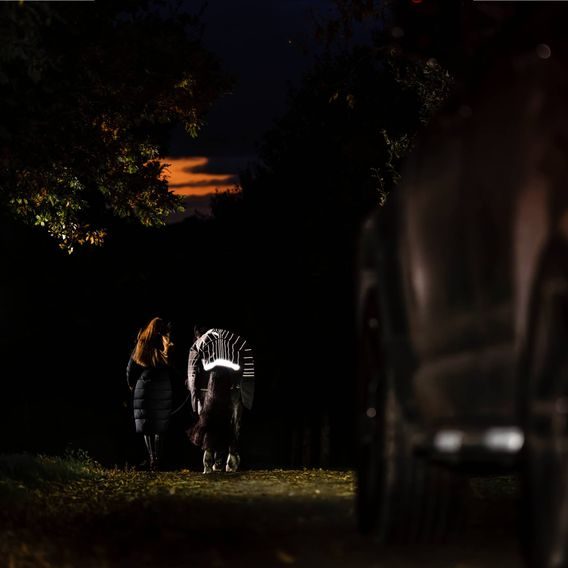 Deka výběhová Horseware Amigo 1200D FieldSafe Reflection Plus 50g