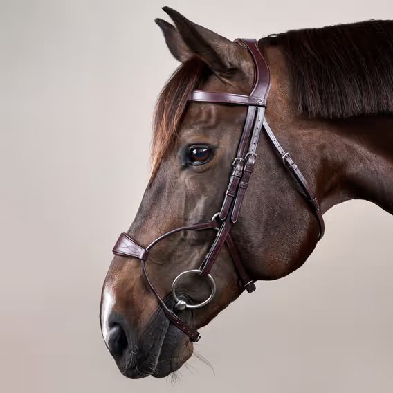 Uzdečka Dy'on Hybrid Noseband NEABA7