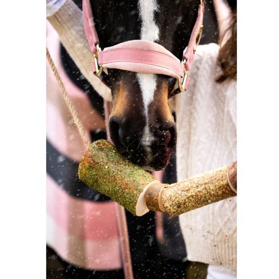 Kousací dřevěná hračka pro koně Candy Horse Christmas Reindeer Chew