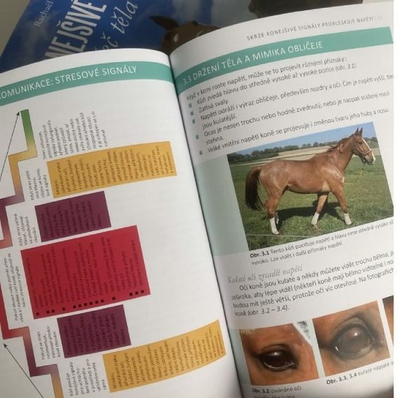 Publ Draaisma Konejšivé signály a řeč těla u koní-barevná verze