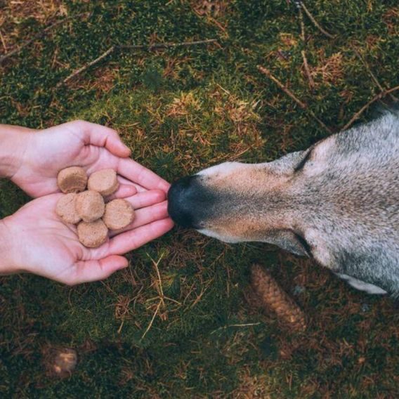 Pamlsek Carnilove Freeze-Dried Raw Snacks Salmon & Turkey 60g