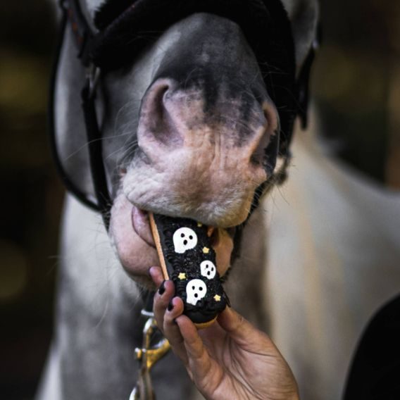 Pamlsky Candy Horse Eclair Haloween 90g