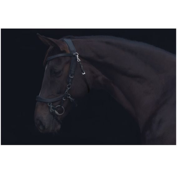 Podhrdelník PresTeq