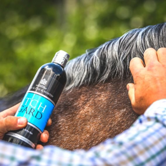 Carr&Day&Martin Itchgard