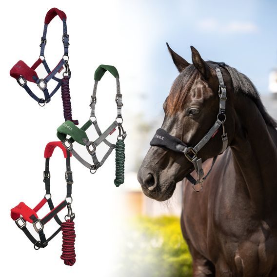 Ohlávka s vodítkem LeMieux Vogue Kolekce 2025