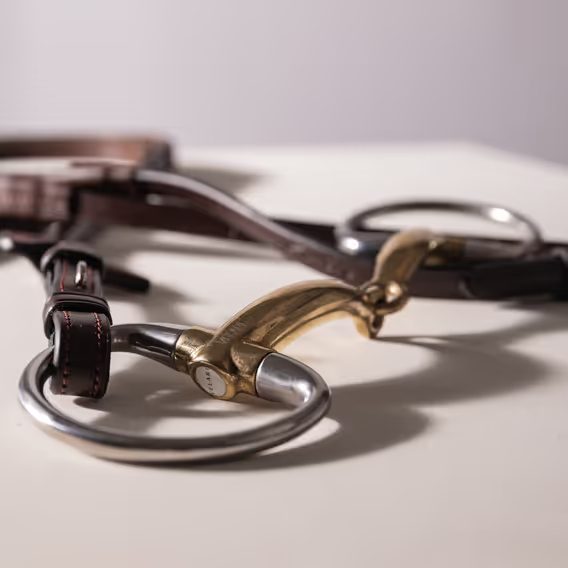 Oliva lomená Velari by Kentucky Sweet Copper