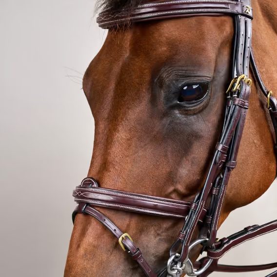 Uzda Dy'on Flash Noseband Double DYLAAA